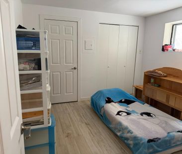 Grand 3 1/2 à louer près du métro Honoré-Beaugrand - Photo 2