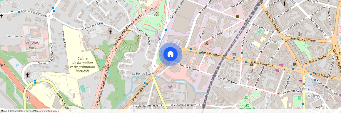 101 Rue Marietton, 69009 Lyon