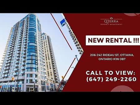 242 Rideau Street, Byward Market, Ottawa, ON - Photo 2