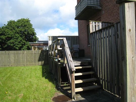 Kragsbjergvænget. Od. C - Photo 1