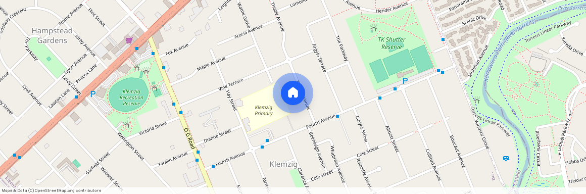 25 Thistle Ave, SA 5087, Klemzig