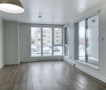 9675 Av. Papineau - Photo 2