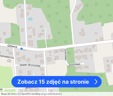 Piękne, jasne, niezależne, 4 pokoje, las - Zdjęcie 1