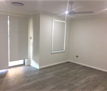 Near new designer home- (OPEN HOUSE: SATURDAY 2:30-2:45PM) - Photo 4