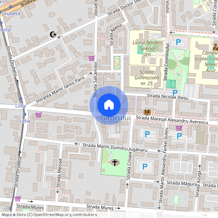 Timis, Timisoara