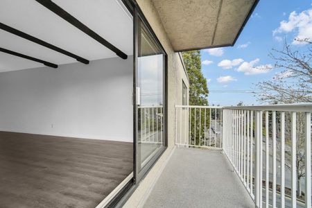 Vista Terrace Apartments - 1 Bedroom - Photo 4