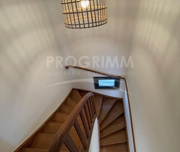 Renovated family home in Chene-Bougeries - 9.5 rooms - Photo 3