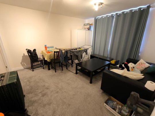 4 Bed Terraced House, Susannah Street, E14 - Photo 1