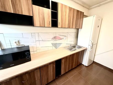 Apartament cu o camera de inchiriat pe Strada Plopilor. Pet Friendly - Photo 2
