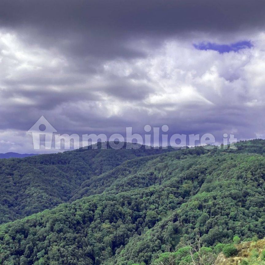 Villa unifamiliare Strada Provinciale Rossano Sila, Corigliano-Rossano - Photo 1