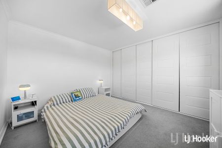 41 Early Street, Queanbeyan NSW 2620 - House For Rent | Domain - Photo 5