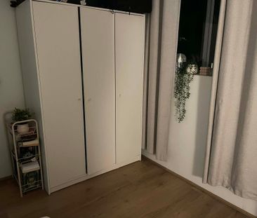 Manly Vale - Photo 3