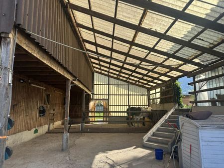 Opportunité unique : propriété spacieuse avec maison individuelle et écurie - Foto 4