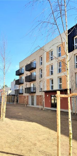 Location Appartement 2 pièces 50m² DARNETAL 76160 - Photo 1