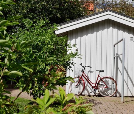 Lilla Möllevångsgatan 10 - Foto 5