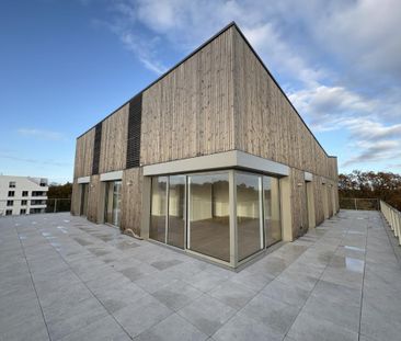 Maison T3 à louer Guichen - 68 m² - Photo 2