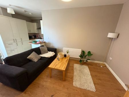 Apt 4 Ivy House, 1 Walnut Street, Belfast BT7 1FB - Photo 5