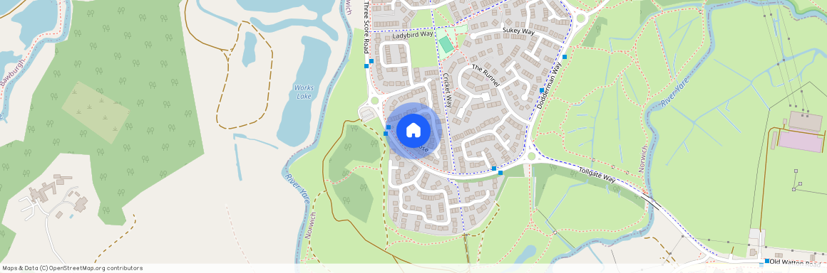 Tizzick Close, Three Score, Norwich