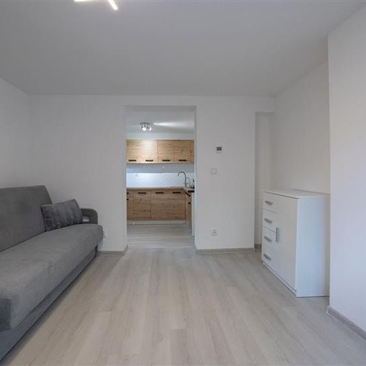 MIESZKANIE na WYNAJEM - Photo 1