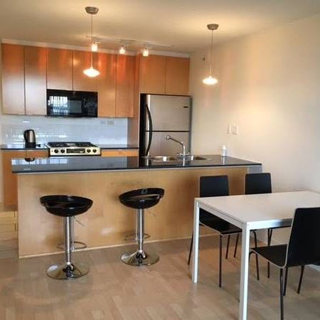 Beautiful furnished one bedroom and den Downtown/Yaletown - Photo 4