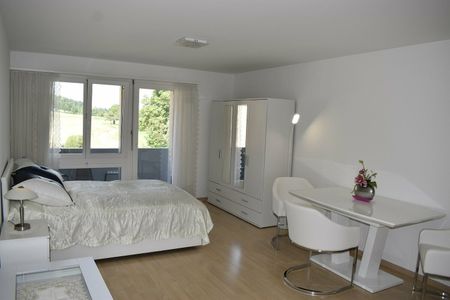 1,5-room furnished apartment in 8108 Dällikon, Zurich - incl NBK - Photo 4