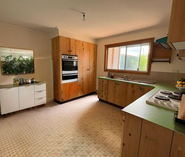 Spacious 1 bedroom Granny Flat - Photo 3