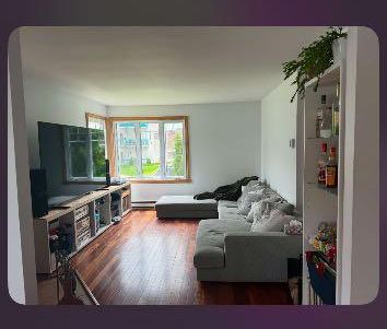 Beau grand 7 1/2 - Photo 1
