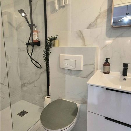 1 pièce - Meublé - 24 m² - RDC - Colocation non autorisée - Photo 3