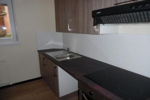 Location Appartement 1 pièce 29m² STRASBOURG 67000 - Photo 2