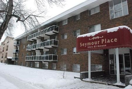 Seymour Place - Photo 2