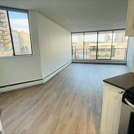 Pet Friendly 1BR/1BA in Burnaby. Spacious, Near SFU, Skytrain, Mall - Photo 3