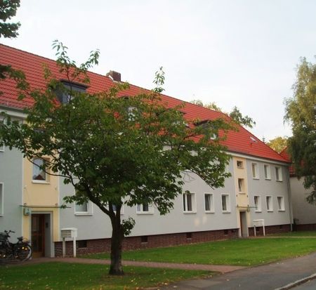 3-Zimmerwohnung mit Balkon in Seelze - Photo 3