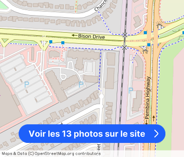 Bison Pointe III - Photo 1