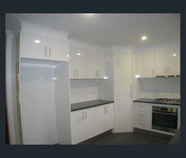 Modern Courtyard Home in Prime Location! - Photo 4