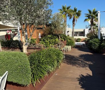 Pyrmont - Photo 3