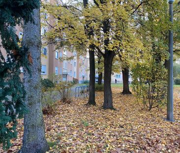 Nürnberg 90480. 1 Zimmer Wohnung 31m. Ab sofort.Oder 2/2026. - Foto 1