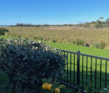 Harbour Park - Katikati - Photo 4