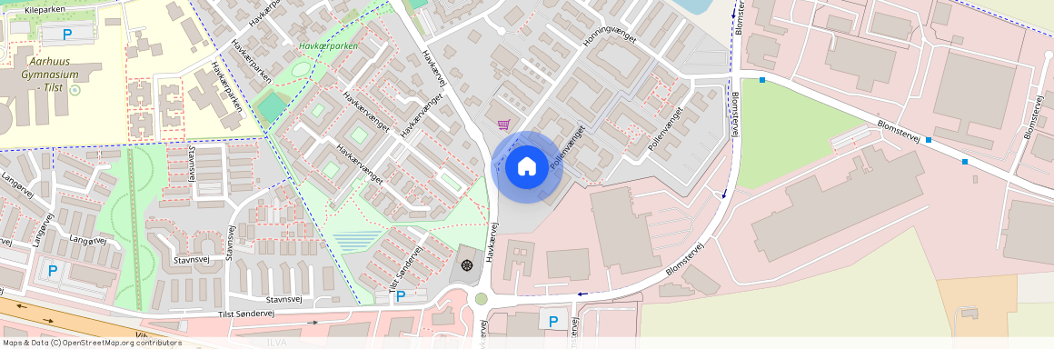 Apisvej 2, 8381 Tilst