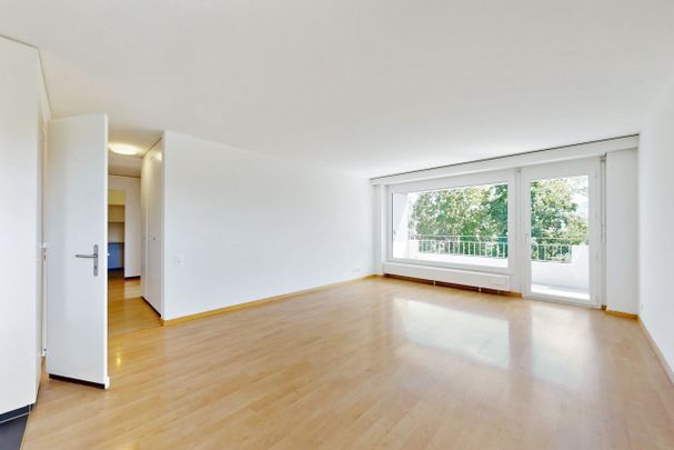 Bright, large and modern - Photo 1