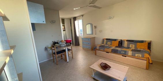 Location Appartement 1 pièce 25m² - Photo 3