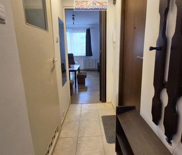 Mieszkanie Wynajem: Słupsk - Photo 3