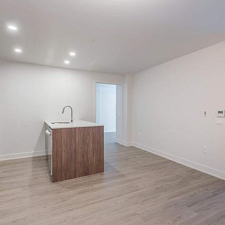 3 CH - 2 SDB - Montréal - $2,880 /mo - Photo 4