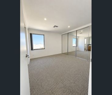 MAIN HOME $950/WEEK | STUDIO $450/WEEK - BRAND NEW COASTAL LIVING &... - Photo 6