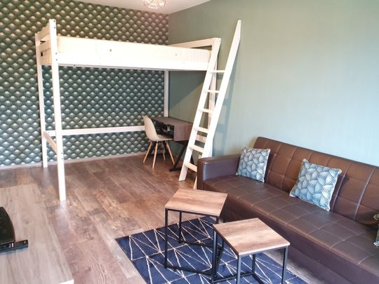 Location Appartement 1 pièce 25m² CROIX 59170 - Photo 1