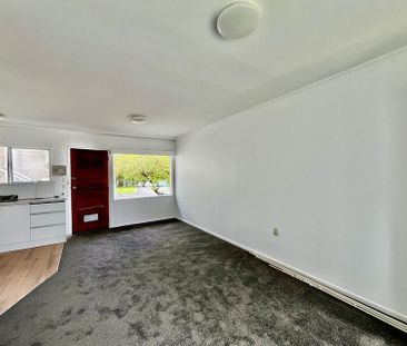 Newly Renovated 2 Bedroom in Mt Eden - Photo 5
