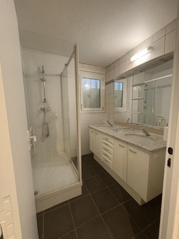 T6-19 Rue Gaston Letonnelier-Grenoble - Photo 4