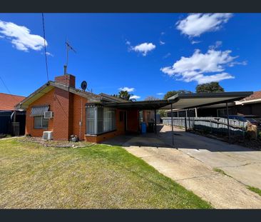 19 Westminster Avenue, Shepparton, Vic 3630 - Photo 1