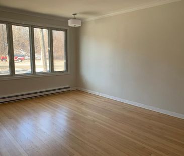 5591 Rue Monsabré, H1M 2R4, H1M 2R4, Montréal - Photo 3