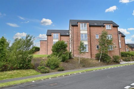 Apt 4 11 Mill Valley Gardens, Belfast, BT14 8FA - Photo 3