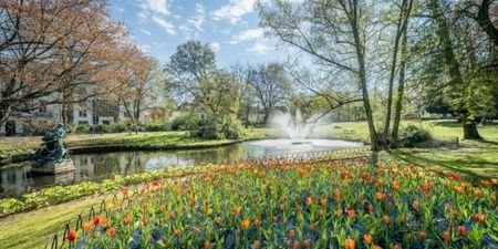 Appartement te huur in Brugge voor € 1.250 met 3 slaapkamers - Foto 3
